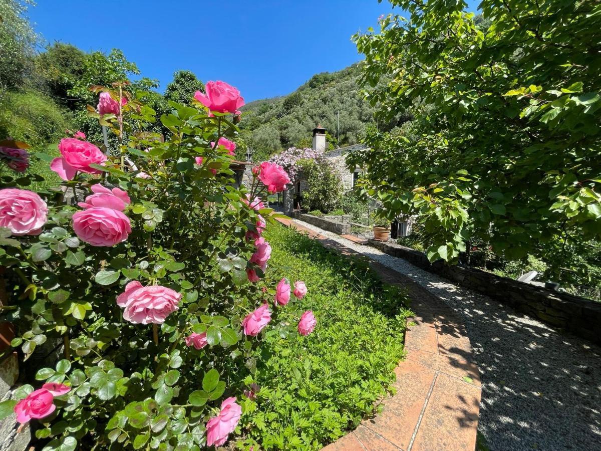 Il Frantoio Di Luna - Levanto, 5 Terre Экстерьер фото